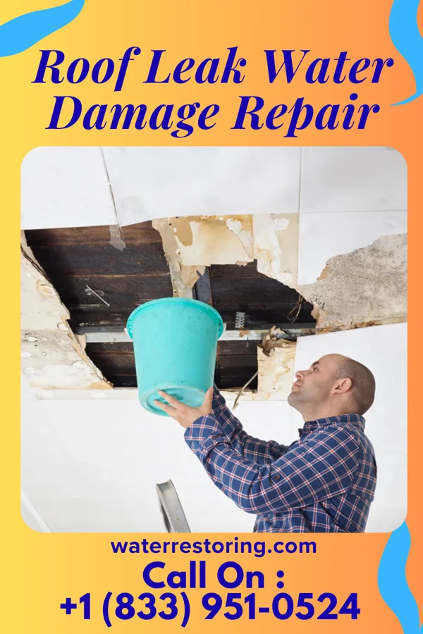 Roof Leak Water Damage Repair in Killona, LA
