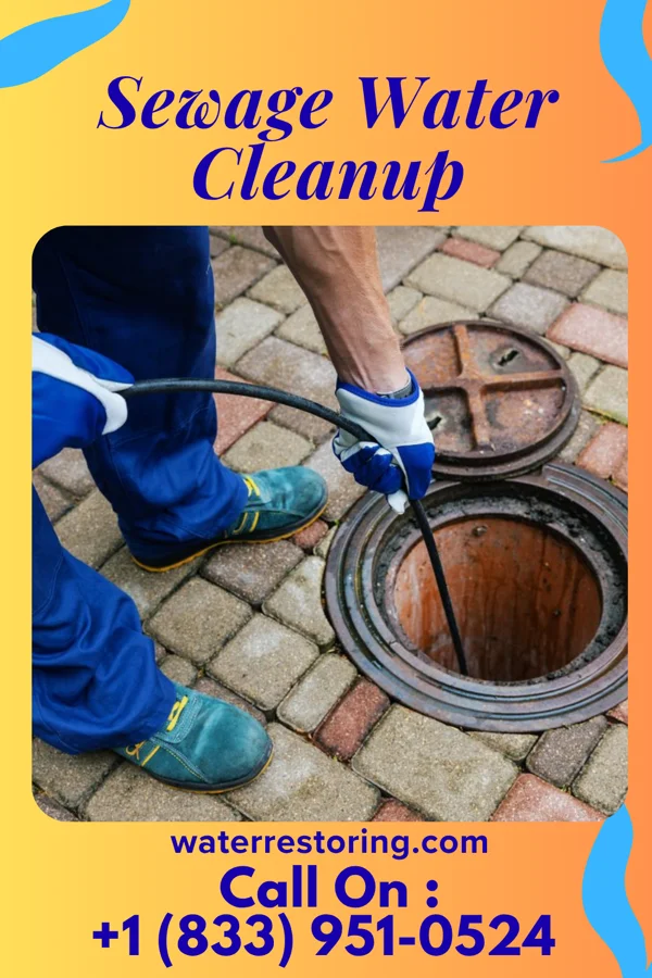 Sewage Water Cleanup in Killona, LA