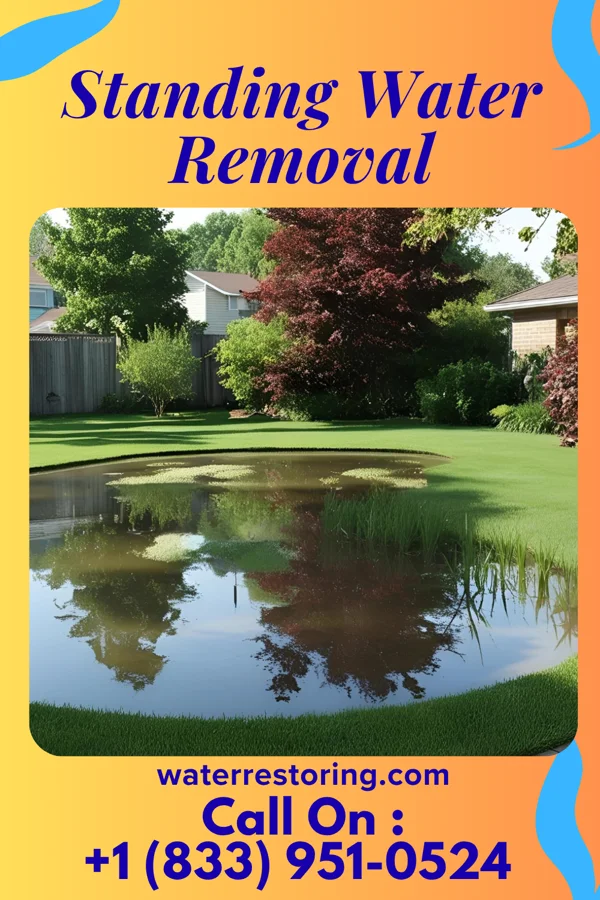 Standing Water Removal in Killona, LA